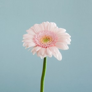썸네일(스크롤)