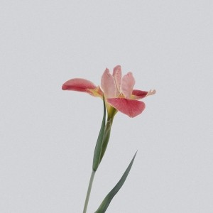 썸네일(스크롤)