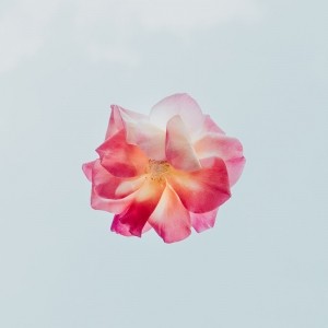 썸네일(스크롤)